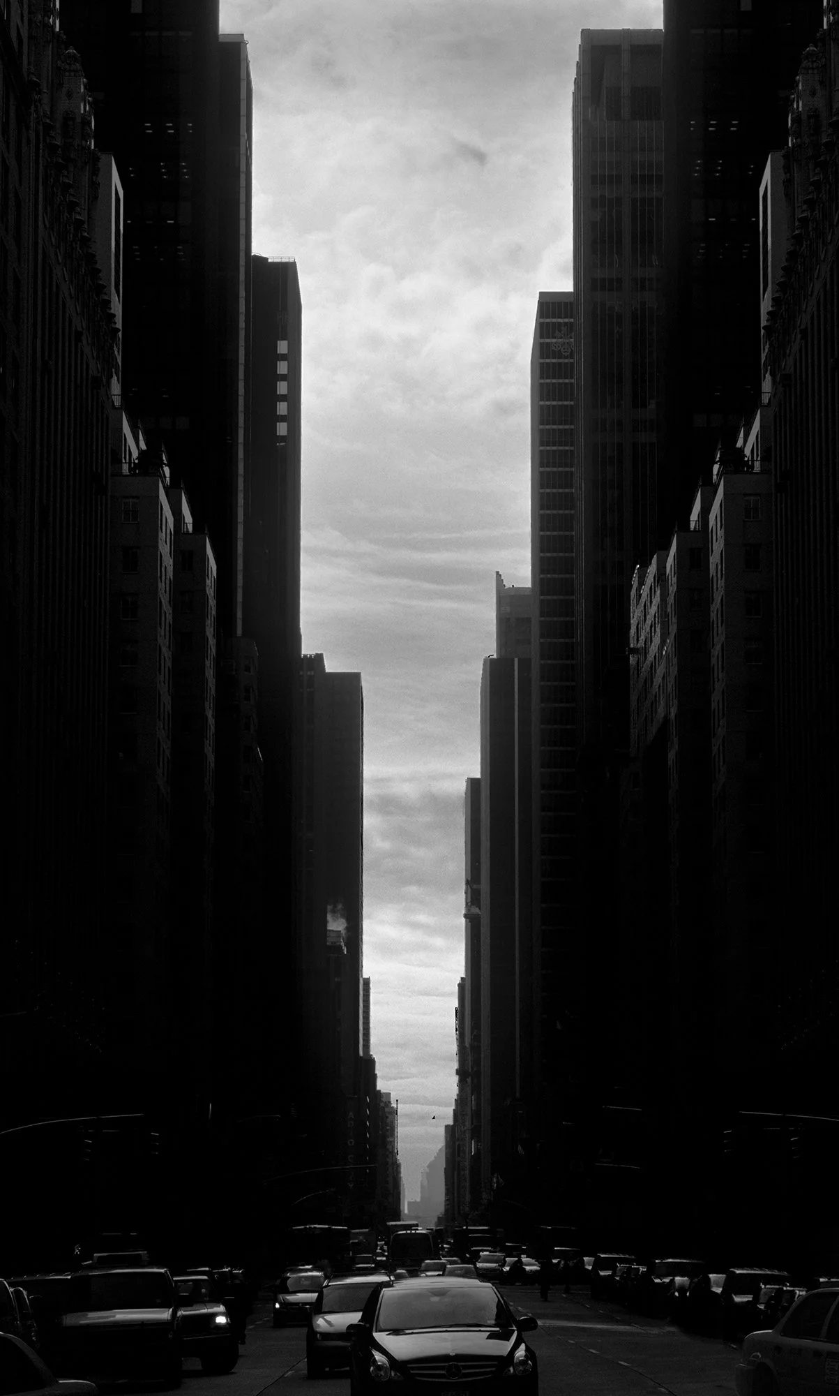 Twenty Years — Jason Langer